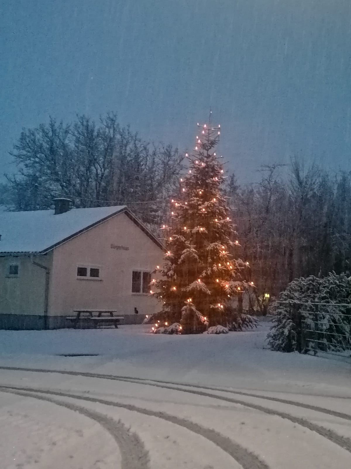 Der beleuchtete Weihnachtsbaum vor dem Rieblinger Bürgerhaus. Schneefall und schneebedeckte Landschaft ringsherum.