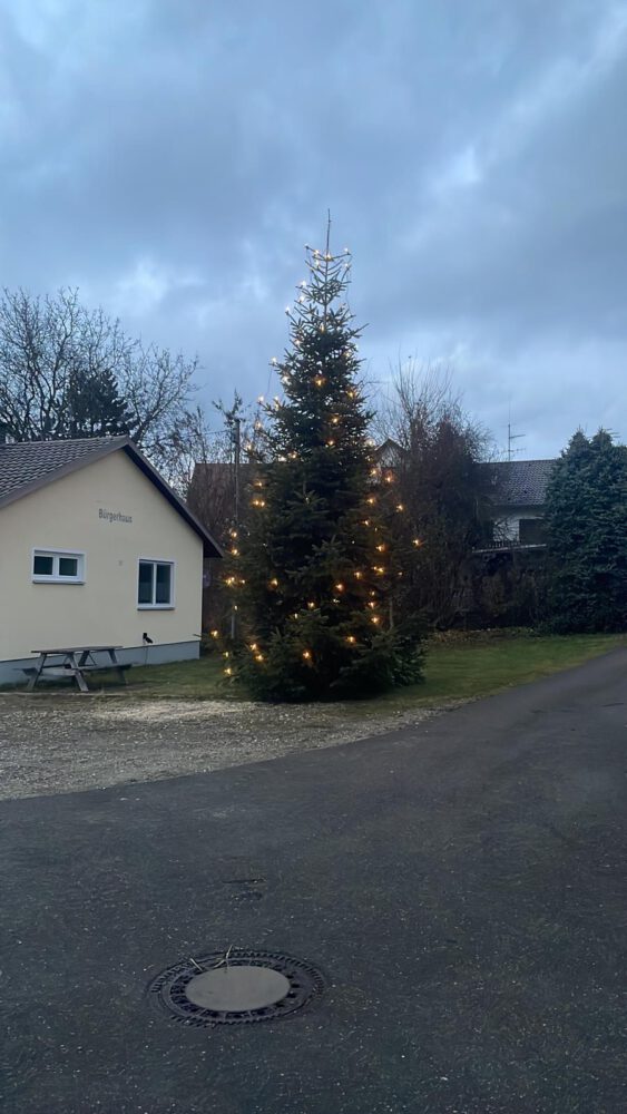 Der Rieblinger Weihnachstbaum 2021 steht und leuchtet in der Dämmerung.