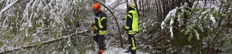 Beseitigung von Schneebruch.